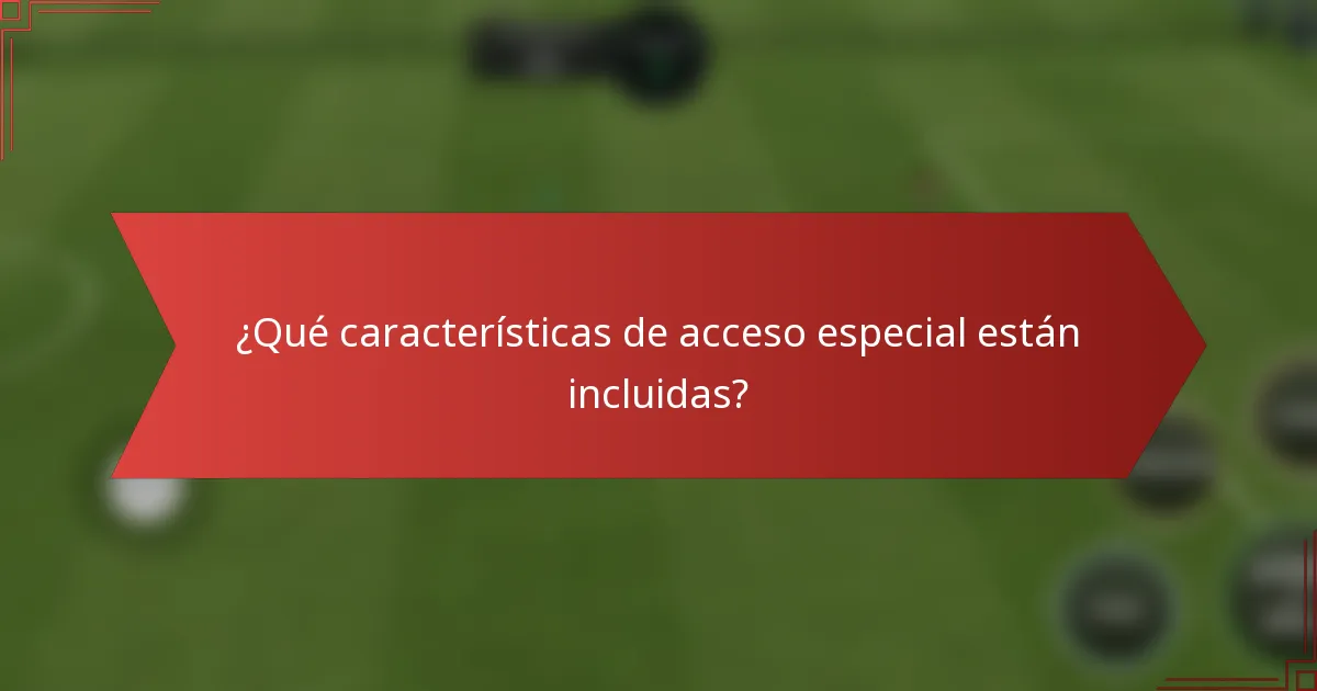¿Qué características de acceso especial están incluidas?